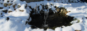 Teich im Winter mit Schnee bedeckt