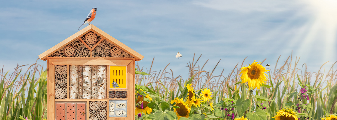 Permakultur im Garten - Wie das nachhaltige Gärtnern funktioniert und worauf Sie achten müssen