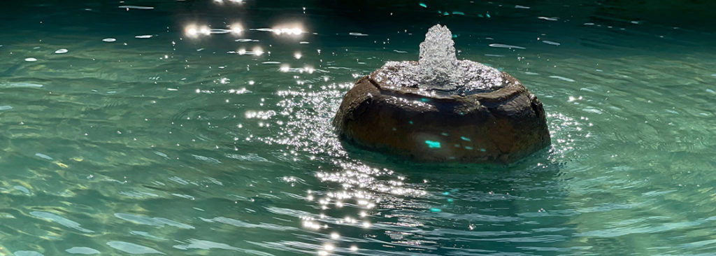 Wasserstelle im Garten anlegen - Worauf Sie achten müssen