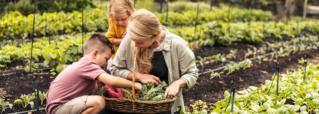 Gartenarbeit mit Kindern - So können auch Kinder schon spielerisch gärtnern