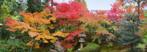 Saisonaler Garten - Wie Sie einen herbstlichen Garten gestalten und anlegen