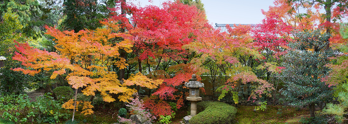 Saisonaler Garten - Wie Sie einen herbstlichen Garten gestalten und anlegen