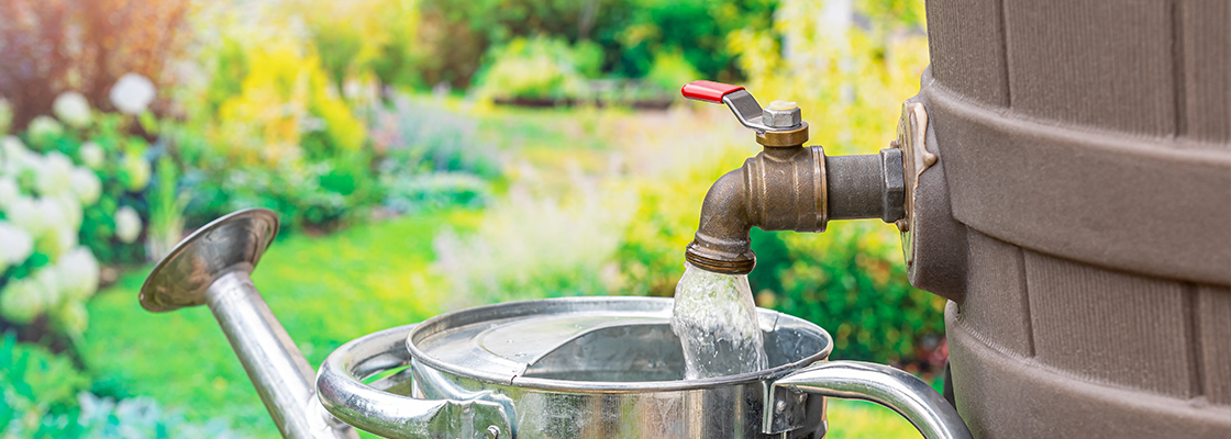 Klimagarten gestalten - Was genau ist das und wie funktioniert es