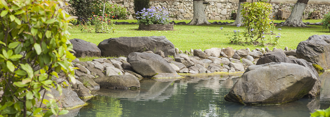 Schwimmteich im Garten anlegen - Alles, was Sie beachten müssen