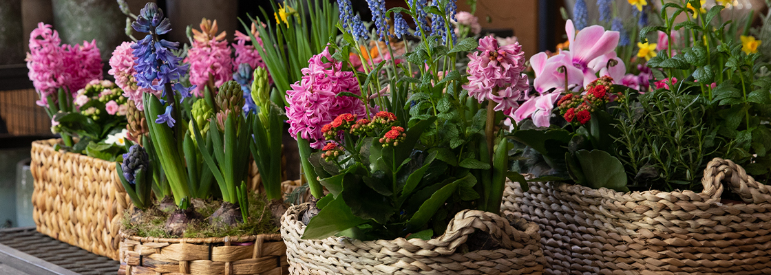 Den Garten für Ostern dekorieren - So wirkt der Garten fröhlich und festlich